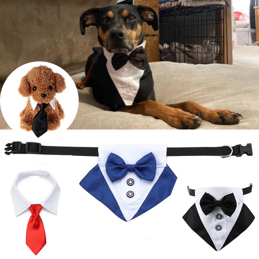 Accesorios para mascotas