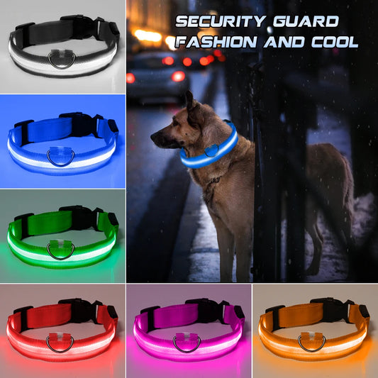 Collar para mascotas LED