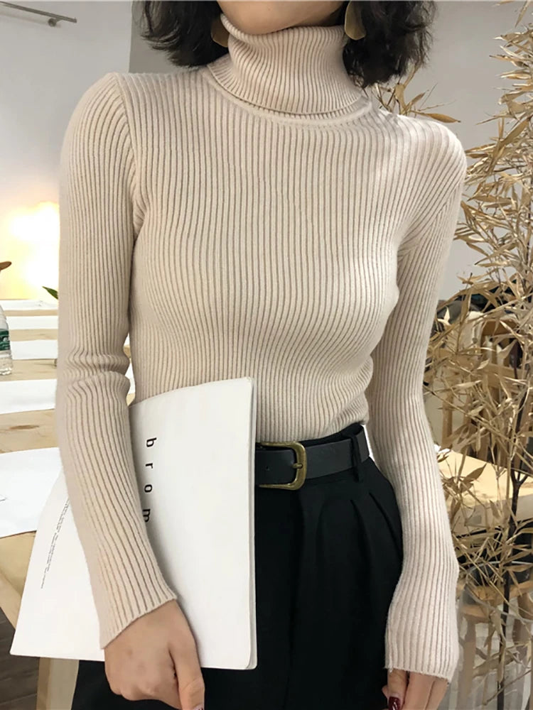 Women Turtleneck Sweater - admstore