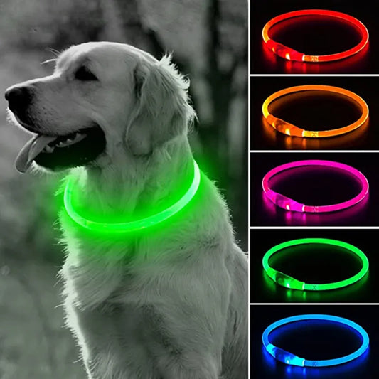 Collar Led Para Mascotas Luminoso Usb