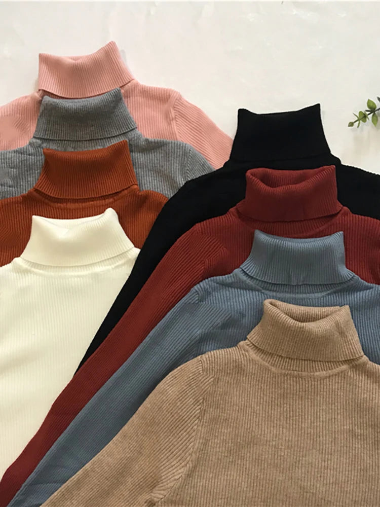 Women Turtleneck Sweater - admstore