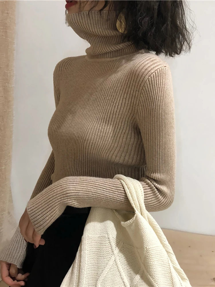 Women Turtleneck Sweater - admstore