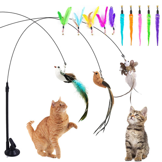 Accesorios para gatos