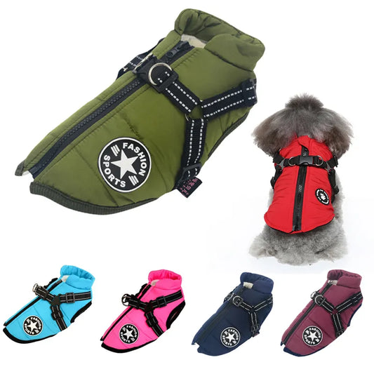 Pet Dog Jacket For All Type of Dogs - admstore