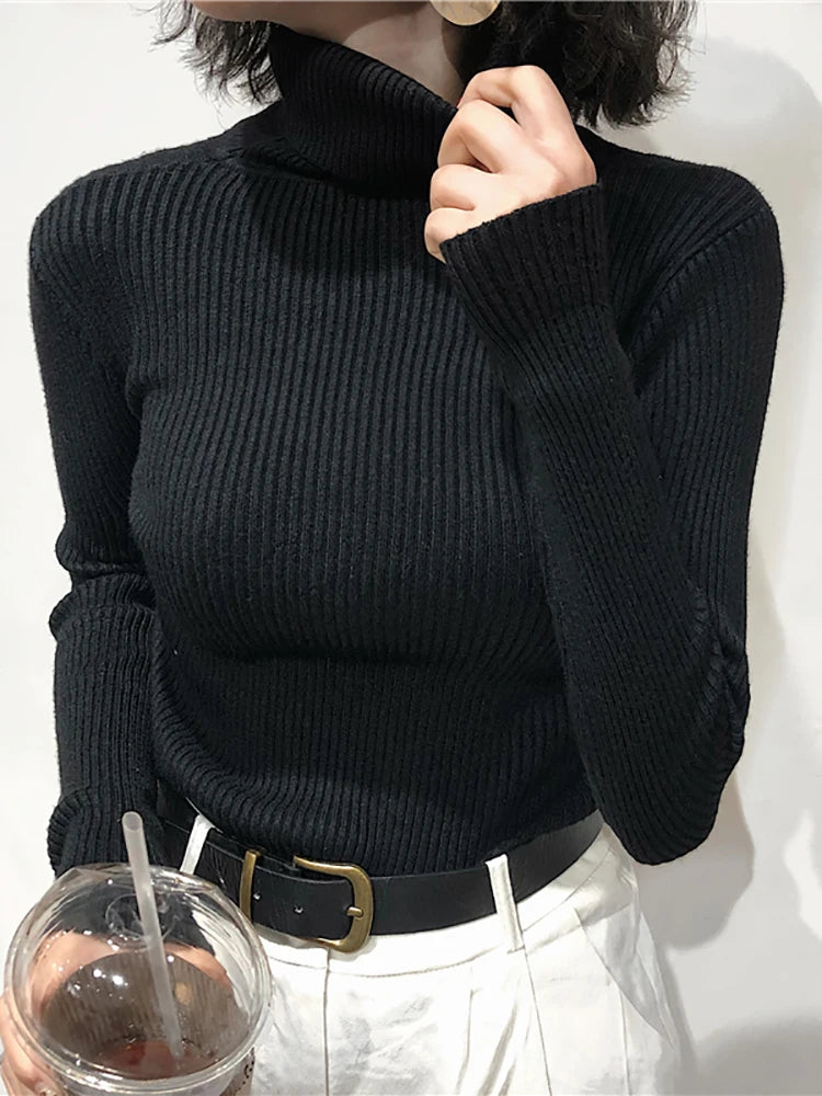 Women Turtleneck Sweater - admstore