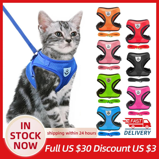 Pets Accessories